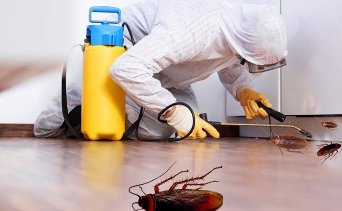 Attention!!!💥- Top Pest Control Safety Precautions You Can’t Ignore.